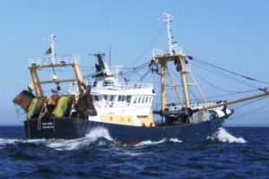 Flere millioner på vej til fiskerne: Ophugningsstøtte i Østersøen fordobles til 50 mio. kroner. foto: RCS