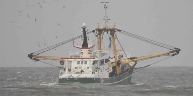 Hollandsk bomtrawler arkivfoto: FiskerForum.dk