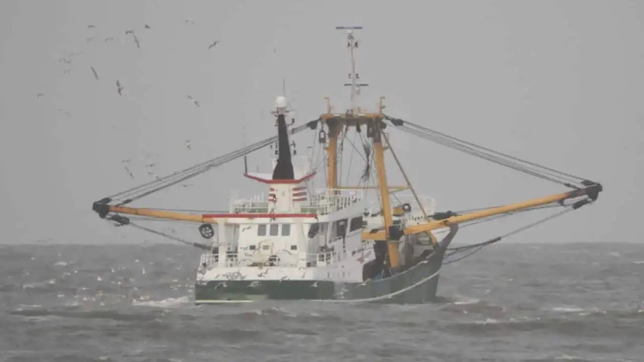 Read more about the article Kystfiskeres eksistens truet af hollandske og belgiske Bom-trawlere