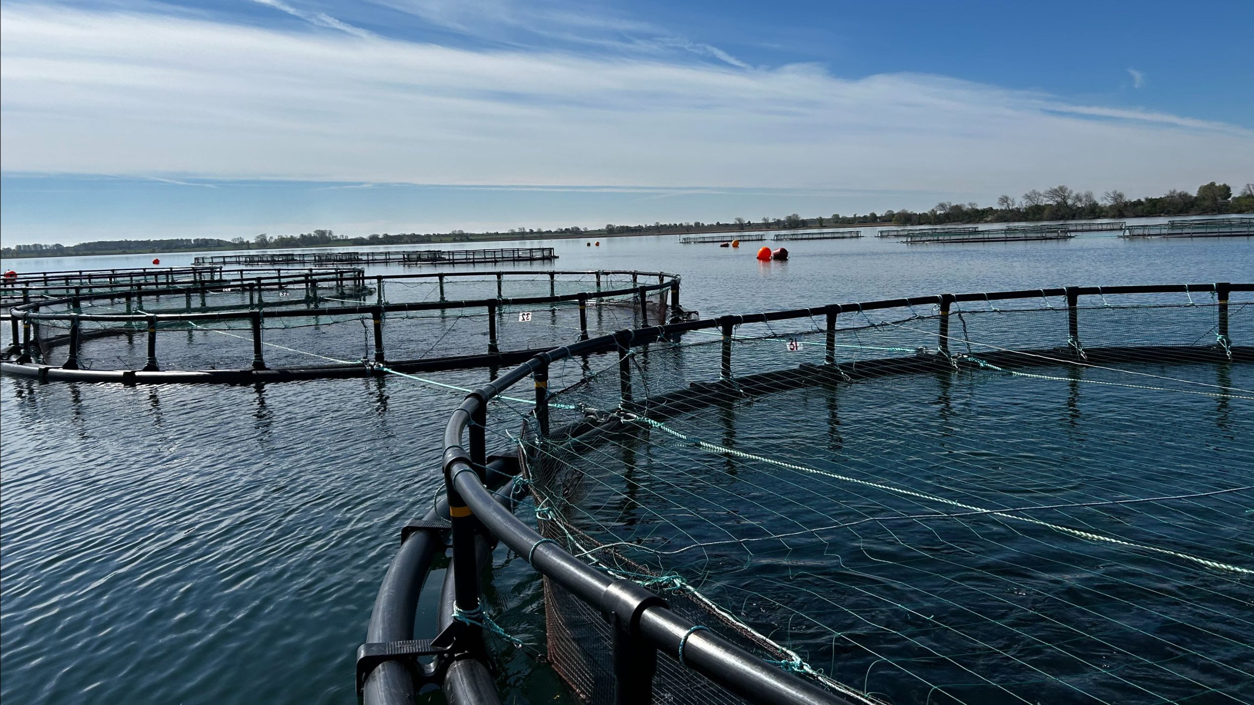 Aftale Om Fremtidens Fiskeri Er P Plads Og Akvakultur Er Med FiskerForum