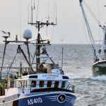 EU's fiskeri og akvakultur står til at få kompensation for krigen i Ukraine. foto: FiskerForum.dk