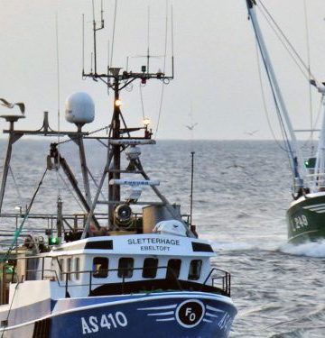 EU's fiskeri og akvakultur står til at få kompensation for krigen i Ukraine. foto: FiskerForum.dk