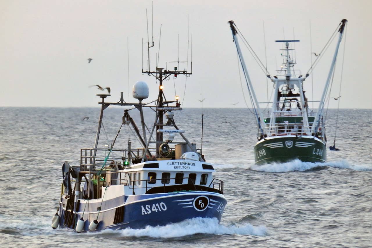 Read more about the article Fiskerikommissionen skal kigge på fiskeriet med nye øjne