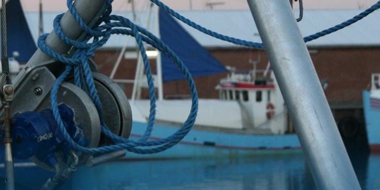 Fiskebranchen ser frem til samarbejdet med Fiskerikommissionen. foto: dfpo