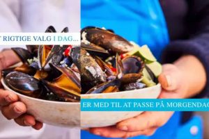 Nyd havets kulinariske muligheder med sæsonens »skæve« fisk foto. Fish International