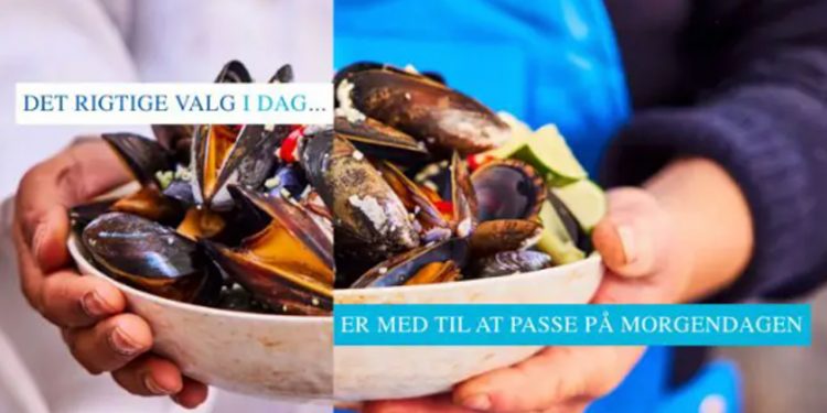 Nyd havets kulinariske muligheder med sæsonens »skæve« fisk foto. Fish International