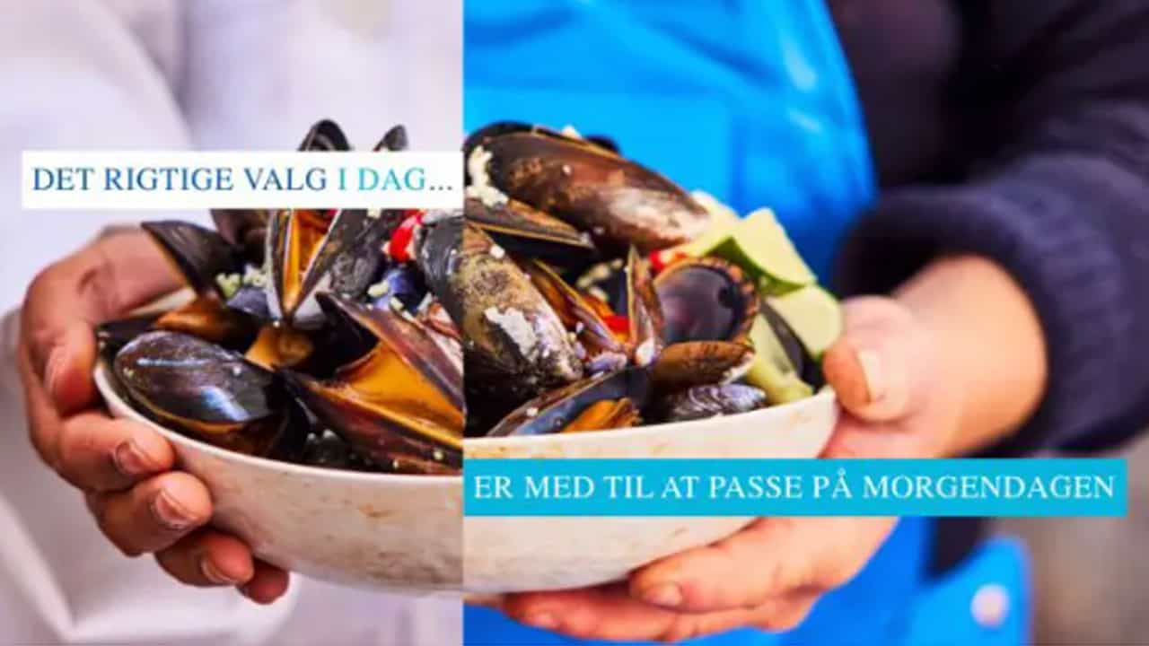 Read more about the article Nyd havets kulinariske muligheder med sæsonens »skæve« fisk
