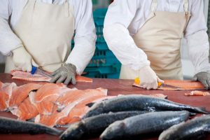 Seafood Danmark AS øger omsætningen med 50 procent. Arkivfoto: Fiskeindustri - FiskerForum.dk