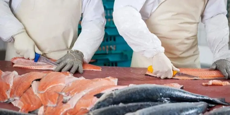 Stor fiskekoncern rykker rundt i toppen foto: Seafood Danmark