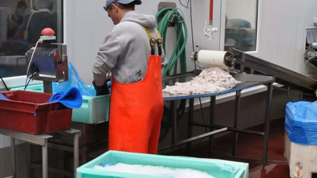Read more about the article Fiskeindustrien presses på både eksportafsætning, tilgang af råvarer og et højt omkostningsniveau