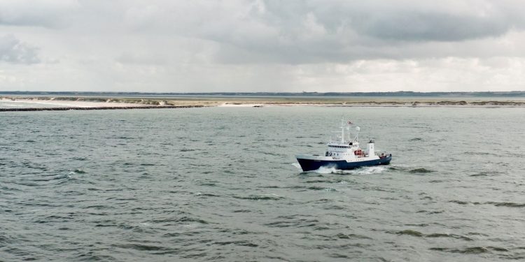 Fangst af undermålsfisk skal registreres i både landingserklæring og logbog. foto: Fiskeristyrelsen