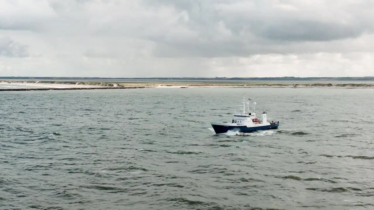 Read more about the article Fangst af undermålsfisk skal registreres i både landingserklæring og logbog