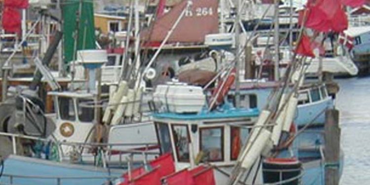 Ekstra kontrol af kystnært fiskeri i april og maj.  arkivfoto: garnfiskere - LHult