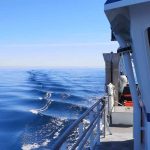 Nyt feltarbejde skal give svar på, hvordan trawl hvirvler sediment op – og hvordan påvirkningen kan mindskes foto: DTU