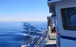 Nyt feltarbejde skal give svar på, hvordan trawl hvirvler sediment op – og hvordan påvirkningen kan mindskes foto: DTU