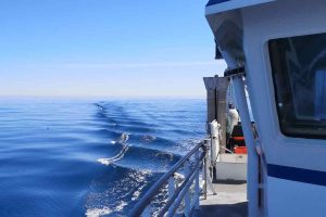 Nyt feltarbejde skal give svar på, hvordan trawl hvirvler sediment op – og hvordan påvirkningen kan mindskes foto: DTU