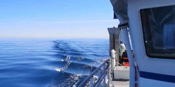 Nyt feltarbejde skal give svar på, hvordan trawl hvirvler sediment op – og hvordan påvirkningen kan mindskes foto: DTU