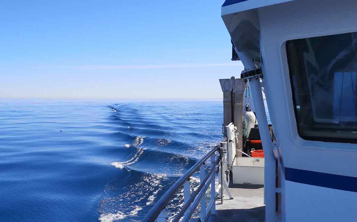 Read more about the article Havfisken undersøger trawls påvirkning af havbunden i Kattegat