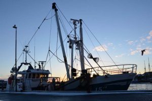 Fiskerne stiller sig også kritiske til landbrugspakken  Silhuetbillede - FiskerForum