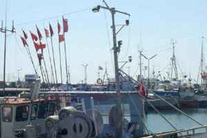 Ineffektive politikere lader fiskeriet i stikken  Arkivfoto: Havnen fyldt i seks uger