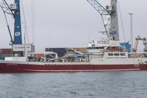 I Denmark landede **Hoyvík** en last på 1.500 tons makrel til FF Skagen, som de har partrawlet med **Ran**, som Thor købte tidligere i sommers. foto: Sverri Egholm