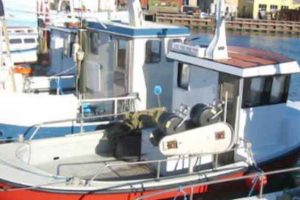 Situationen i Limfjorden er uholdbar og et forvaltningsmæssigt kaos foto: FiskerForum.dk