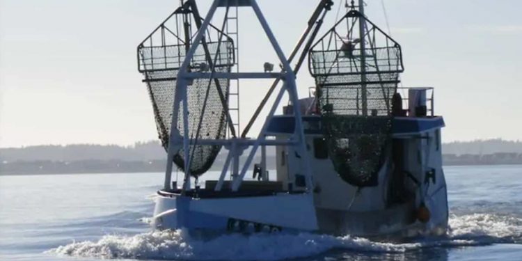 Read more about the article Usmagelig journalistik med en slet skjult anklage mod fiskerne i Limfjorden
