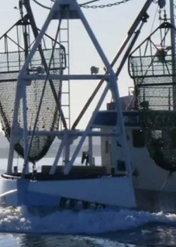 Limfjords-fiskerne beviser gerne de fisker lovligt - DFPO støtter op arkivfoto