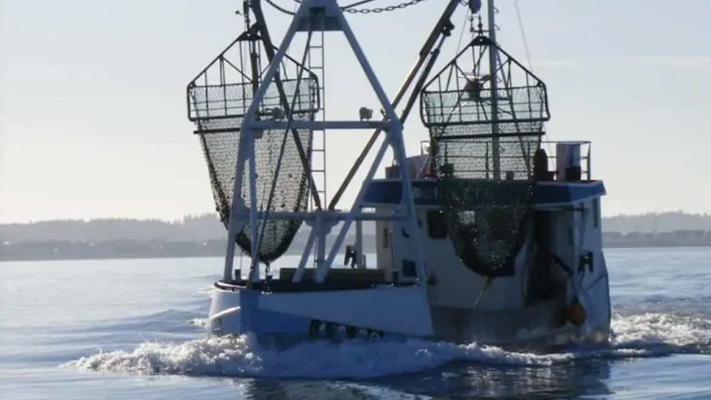 Read more about the article Limfjords-fiskerne beviser gerne de fisker lovligt – DFPO støtter op