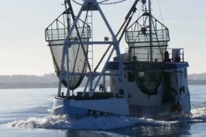 Midt i forhandlingerne om dansk fiskeris fremtid vælger SVM-Regeringen at sende en, for mange, en rystende bekendtgørelse i høring. arkivfoto