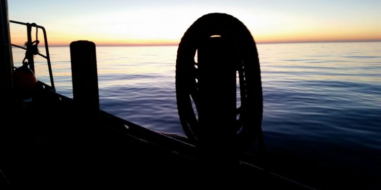 »Dødsstødet« er givet til torskefiskeriet i Østersøen. foto: CSH