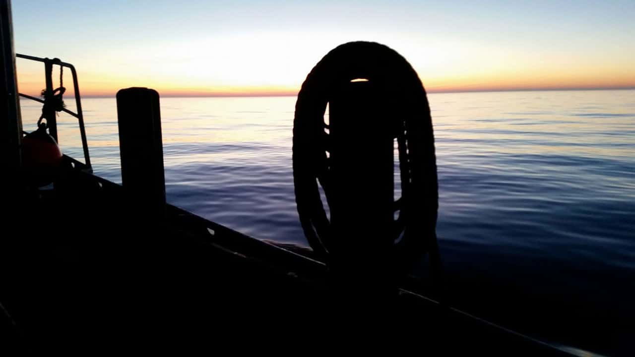 Read more about the article »Dødsstødet« er givet til torskefiskeriet i Østersøen