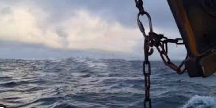 Trods historisk lave fangstkvoter gennem flere år er der fortsat ingen tegn på bedring i bestandene af torsk og sild i Østersøen. arkivfoto