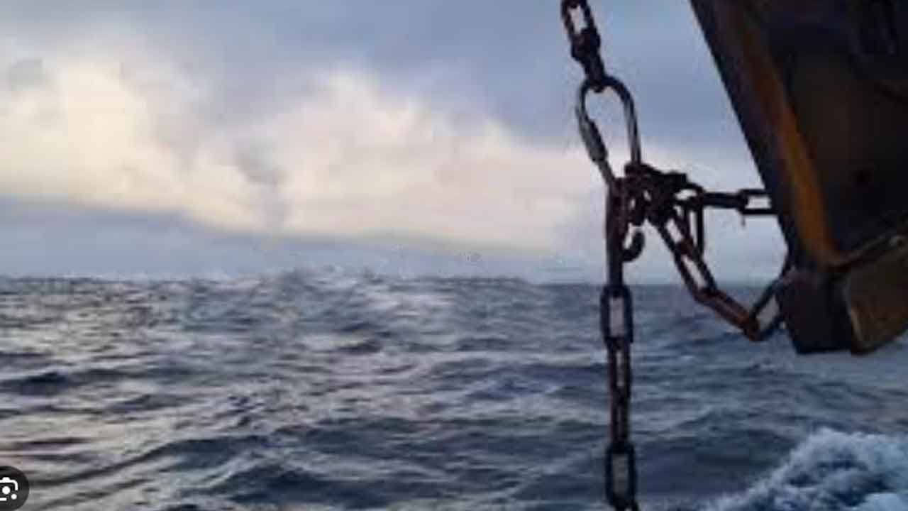 Read more about the article Næsten ingen bedring for torsk og sild i Østersøen