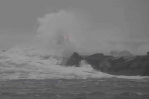 Man udvikler ikke fiskeriet ved at lukke det. Det skal politikerne huske på, når de skal forhandle om fremtidens erhvervsfiskeri, påpeger Danmarks Fiskeriforening DFPO. foto: privat