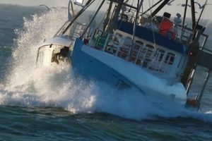 Ifølge en Europa-Parlamentariker er fødevareforsyningen mindst lige så vigtig som den militære sikkerhed – et samfund kan ikke forsvare sig, hvis det ikke kan brødføde sin befolkning. arkivfoto - Tommy