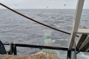 trawlfiskeri arkivfoto