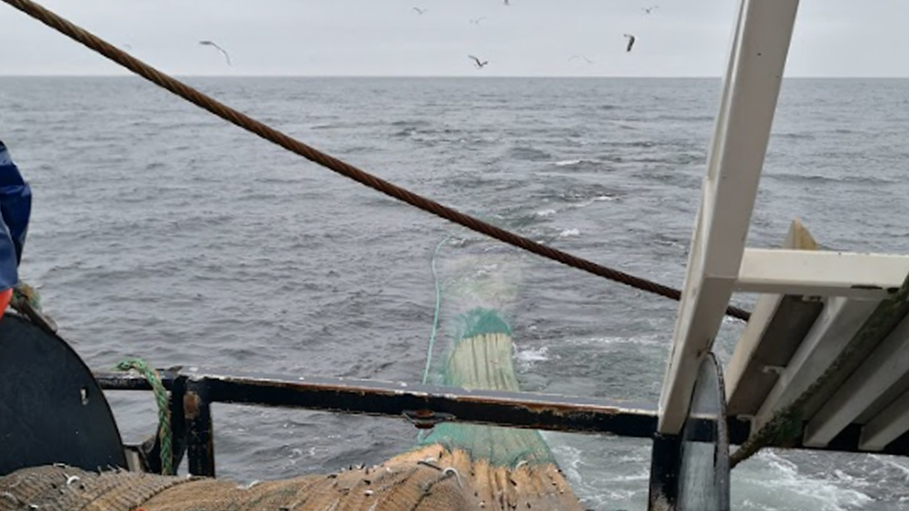 Read more about the article EU har et enøjet fokus på kun én presfaktor i havet – nemlig trawlfiskeriet