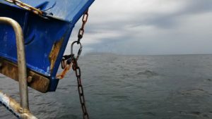 Den sunde fornuft bør vinde over »det grønne vanvid« i EU arkivfoto: trawlfiskeri - CSH