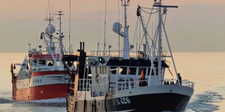 Både dansk og svensk fiskeri står til en kæmpe dukkert, hvis trawlfiskeriet forbydes arkivfoto: PmrA