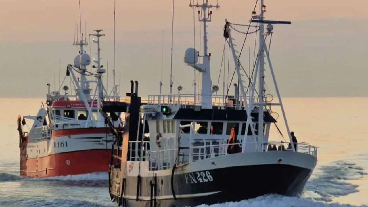 Read more about the article Både dansk og svensk fiskeri står til en kæmpe dukkert, hvis trawlfiskeriet forbydes