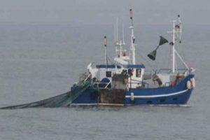 Bundtrawl bliver ofte fremstillet som skadeligt for havmiljøet, men Danmarks Fiskeriforening mener, at kritikken er baseret på misforståelser og forenklinger. arkivfoto