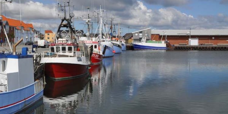 NaturErhvervstyrelsen lancerer kalender til fiskeriet med ordninger og indberetninger.  Arkivfoto: Strandby Havn - FiskerForum