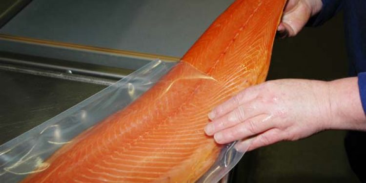 Norsk fiskeindustri øger eksporten i august måned.  Arkivfoto: Laks - FiskerForum