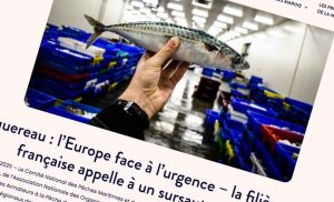 Det Nationale Udvalg for Havfiskeri og Marine Opdræt (CNPMEM) advarer sammen med en lang række centrale organisationer, herunder: - France Filière Pêche - Coopération Maritime - Den Nationale Sammenslutning af Producentorganisationer - producentorganisationen for kystnært fiskeri (FEDOPA) - fiskerirederiernes organisation, grossisterne (mareyeurs) - fiskehandlernes organisation og flere regionale fiskeriudvalg om en kritisk situation for makrelbestanden. foto: Comite Peches