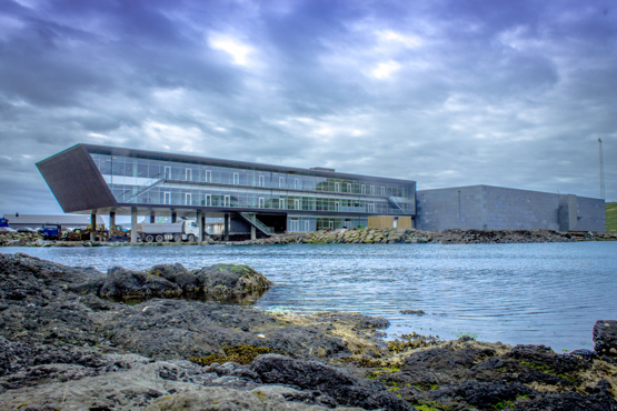 Read more about the article Bakkafrost er ikke tilfredse med kvartalsregnskab