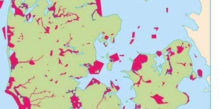 De grønne tiltag bør ikke være fiskeri-erhvervets modsætning