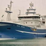 Beinur - foto: fiskur