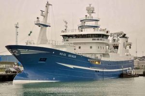 Beinur - foto: fiskur