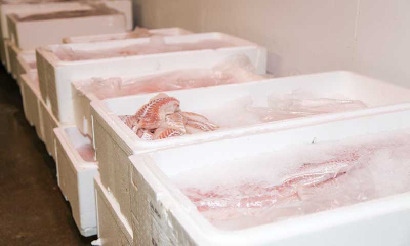 Read more about the article 22,4 mio. skal få flere forbrugere til at spise dansk fisk